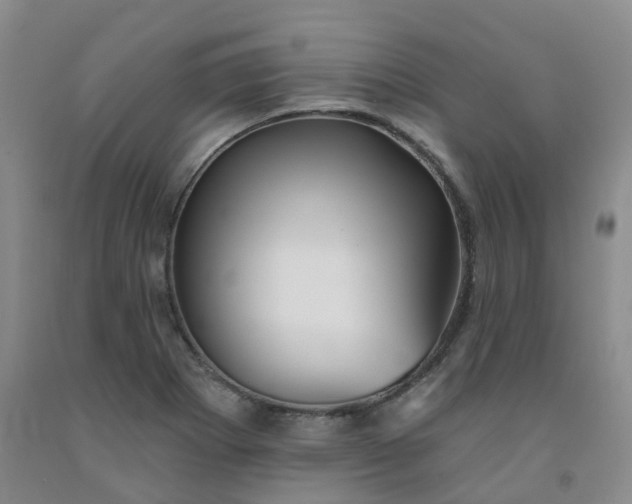 X0000092011273200709201522