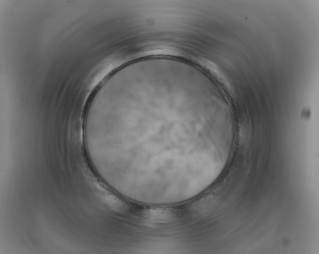 X0000092011274200709201522