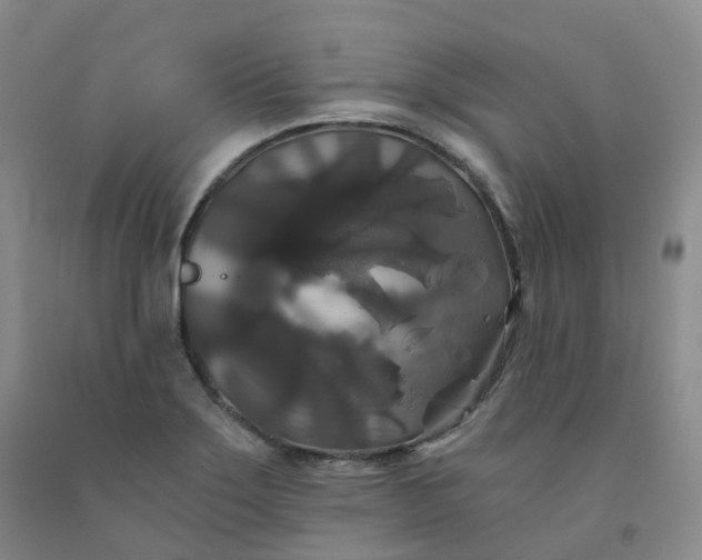 X0000092011275200709201522