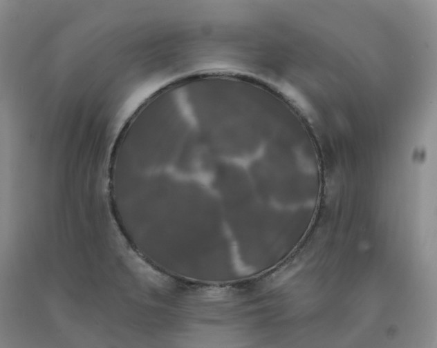 X0000092011279200709201522