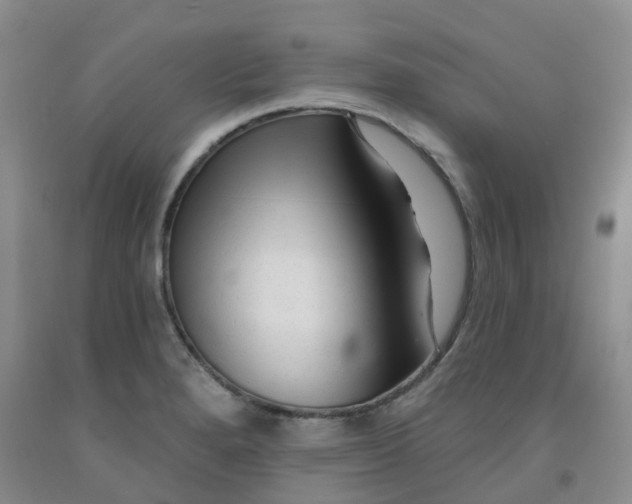 X0000092011280200709201522