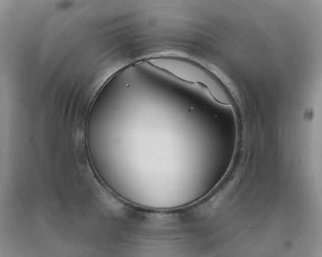 X0000092011281200709201522