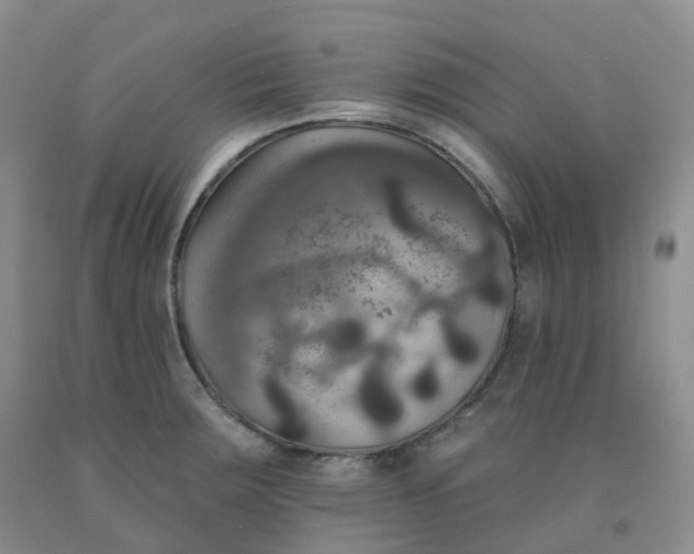 X0000092011283200709201522