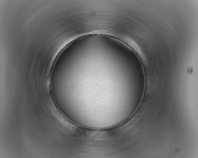 X0000092011284200709201522