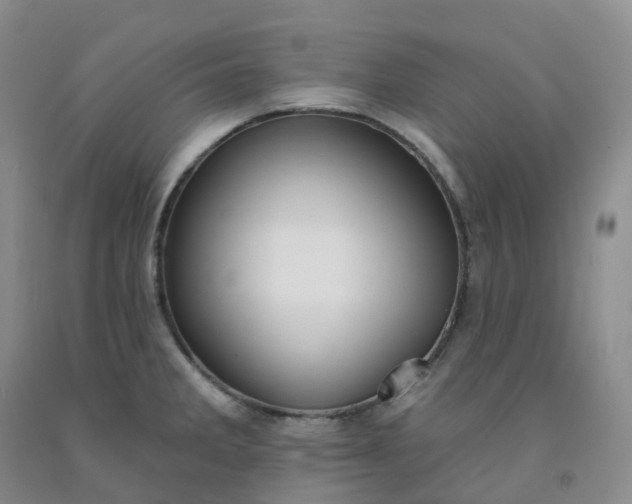 X0000092011285200709201522