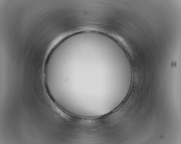 X0000092011286200709201522