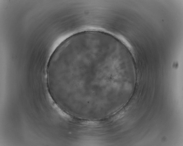 X0000092011287200709201522