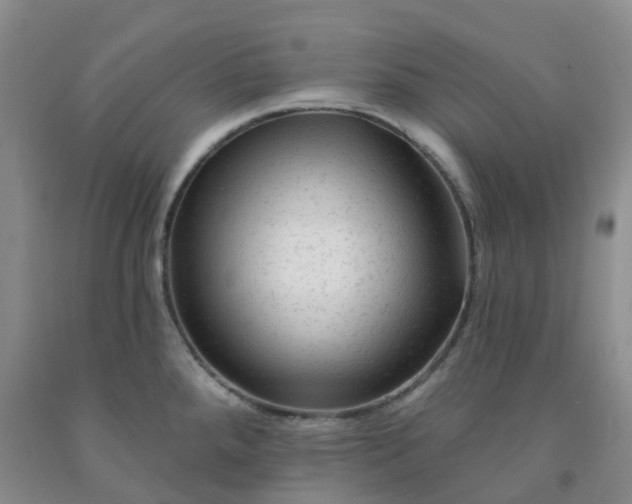 X0000092011288200709201522