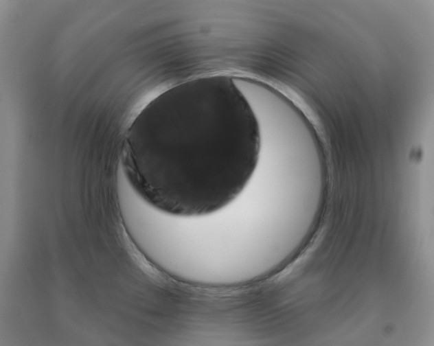X0000092011289200709201522