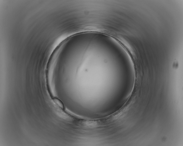 X0000092011291200709201522