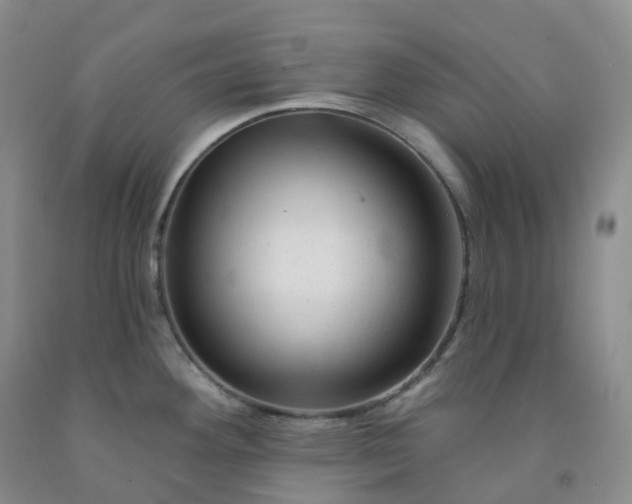 X0000092011292200709201522
