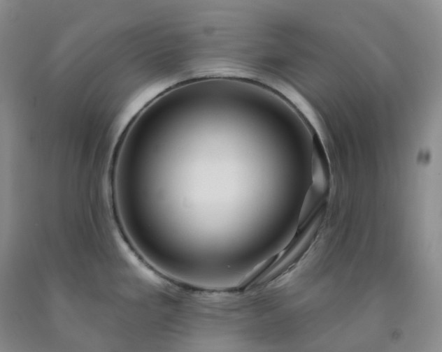 X0000092011293200709201522