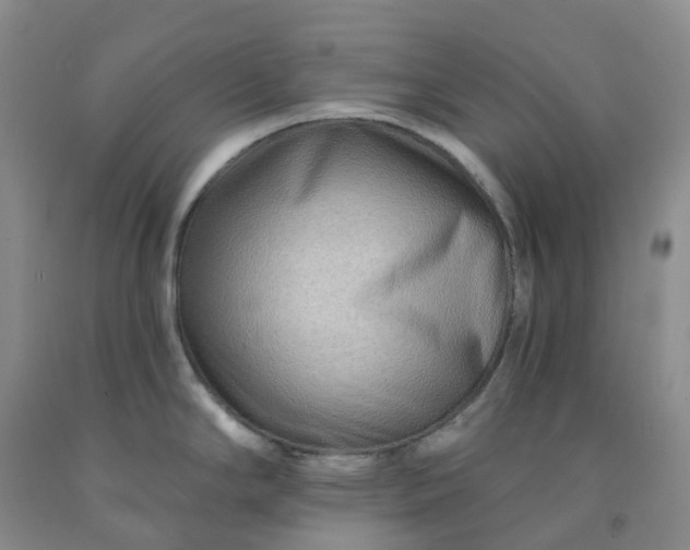 X0000092011294200709201522