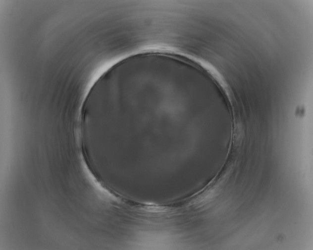 X0000092011295200709201522