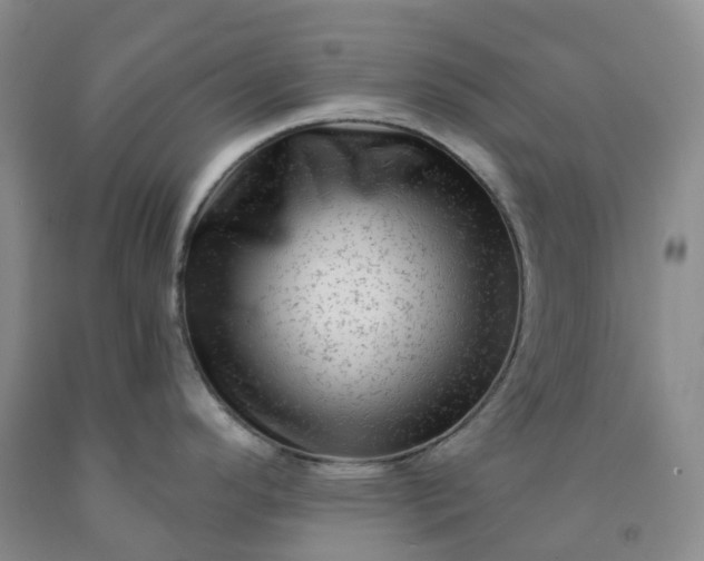 X0000092011296200709201522