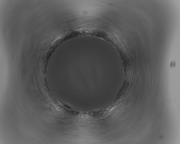 X0000092011297200709201521