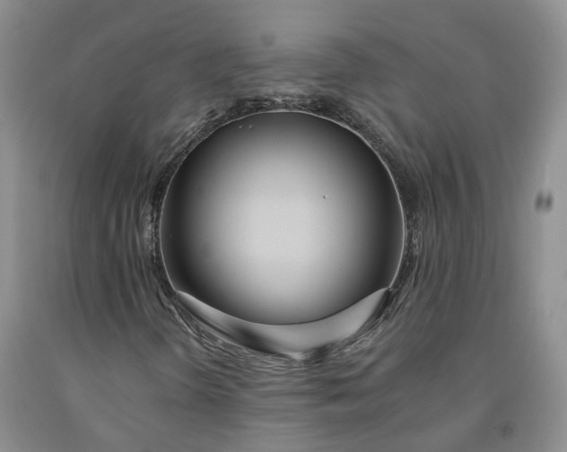 X0000092011298200709201521