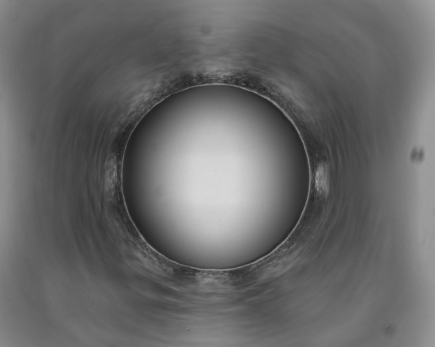 X0000092011299200709201521