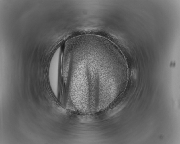 X0000092011300200709201521