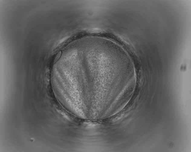 X0000092011301200709201521