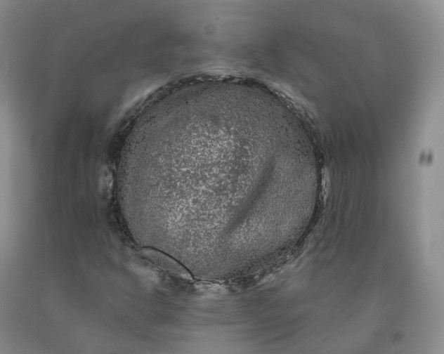 X0000092011302200709201521