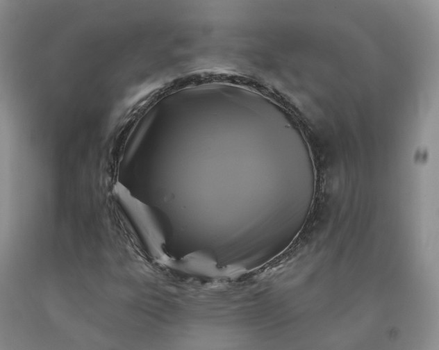 X0000092011303200709201521