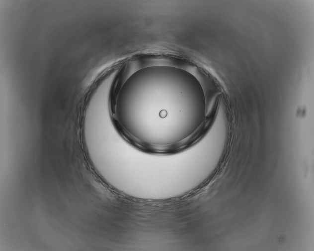 X0000092011304200709201521