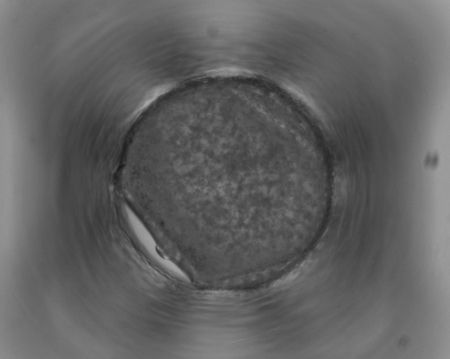 X0000092011305200709201521