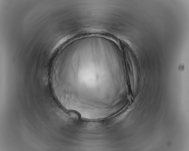 X0000092011306200709201521