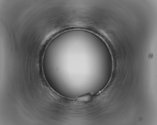 X0000092011307200709201521