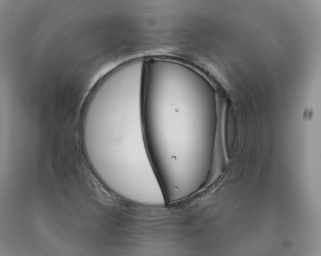 X0000092011308200709201521
