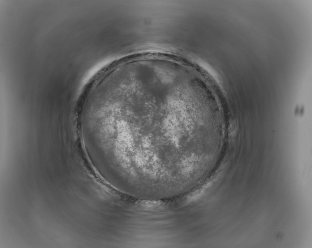 X0000092011310200709201522