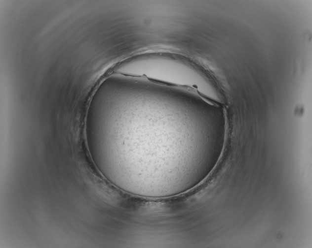 X0000092011313200709201522