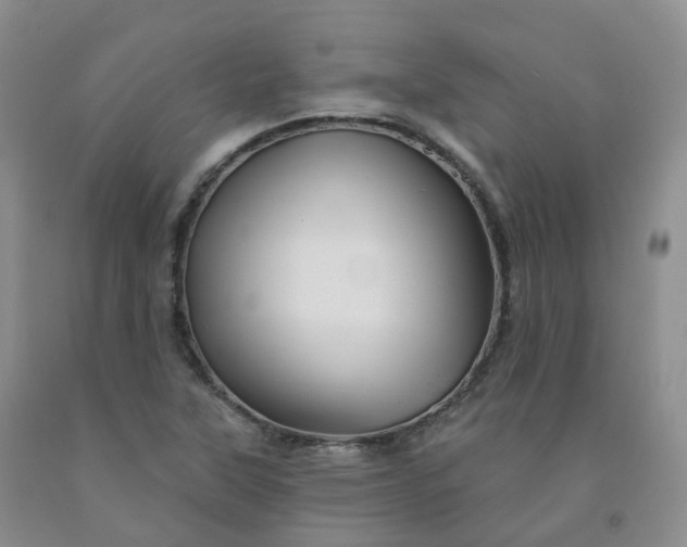 X0000092011315200709201522