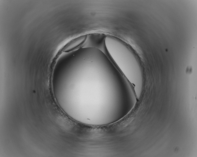 X0000092011316200709201522