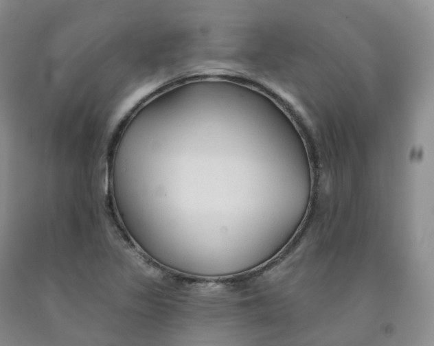 X0000092011317200709201522