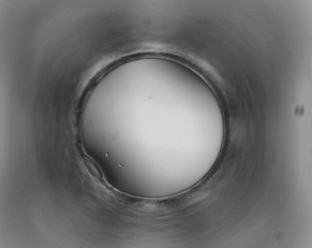 X0000092011318200709201522