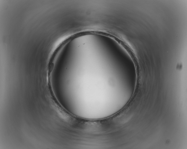 X0000092011320200709201522