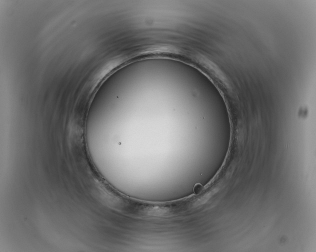 X0000092011321200709201522