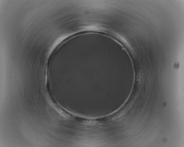 X0000092011323200709201522