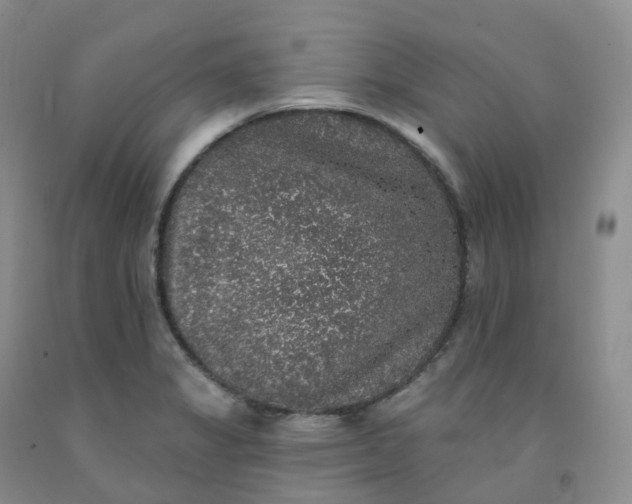 X0000092011325200709201522