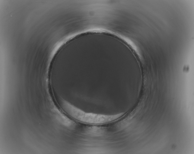 X0000092011327200709201522