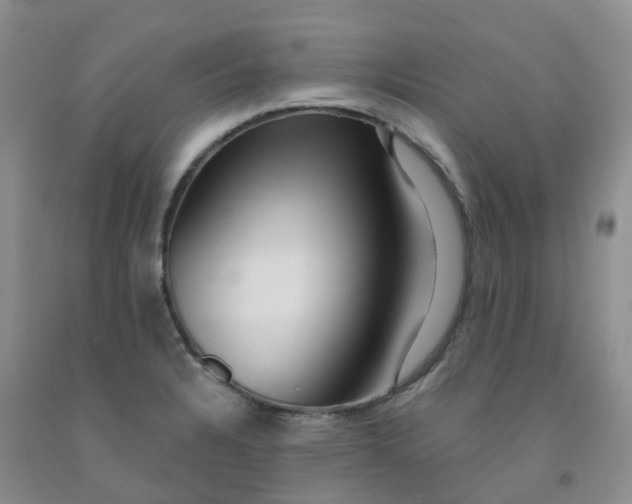 X0000092011328200709201522