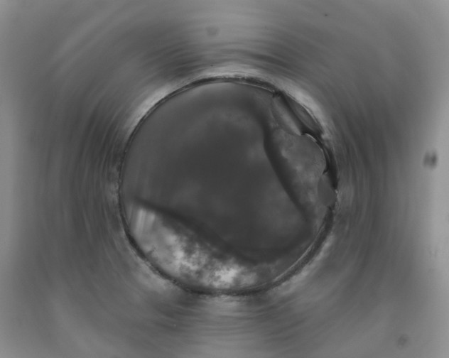 X0000092011329200709201522