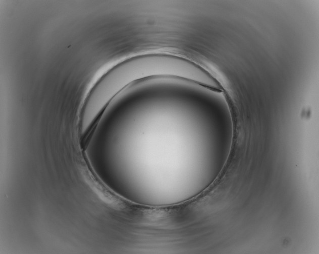 X0000092011332200709201522