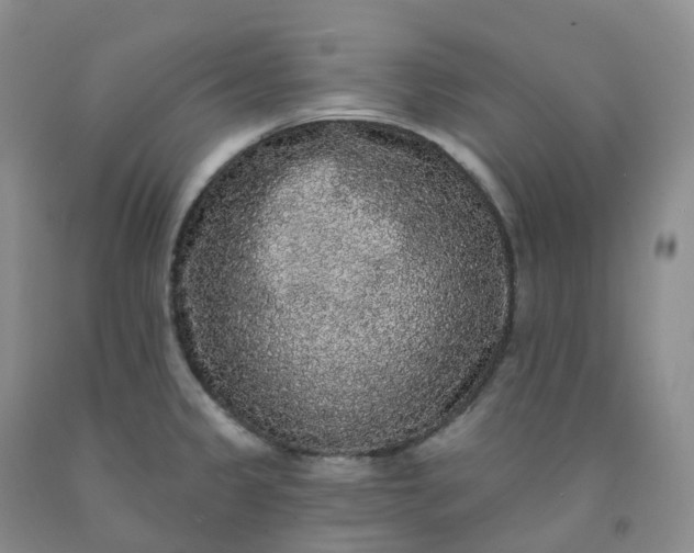 X0000092011333200709201522