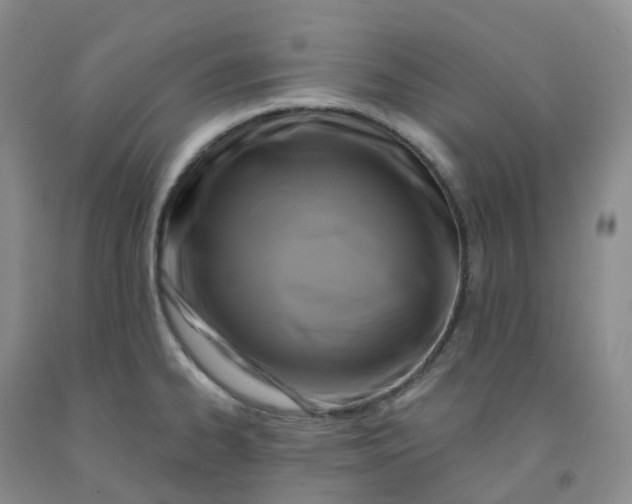 X0000092011334200709201522