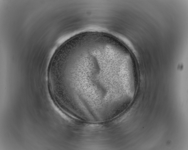 X0000092011335200709201522