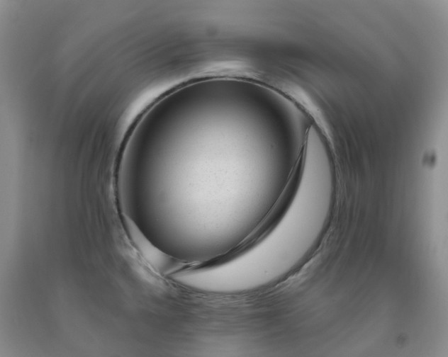 X0000092011336200709201522
