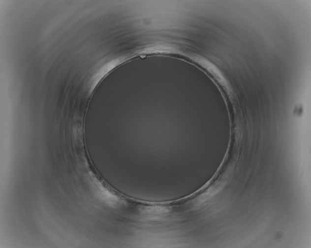 X0000092011337200709201522